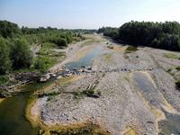 Fiume Enza in secca (Montecchio) - giugno 2015